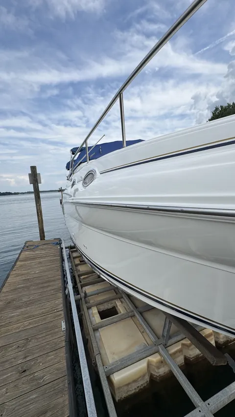 Sea Ray: glossy hull on its lift at the dock